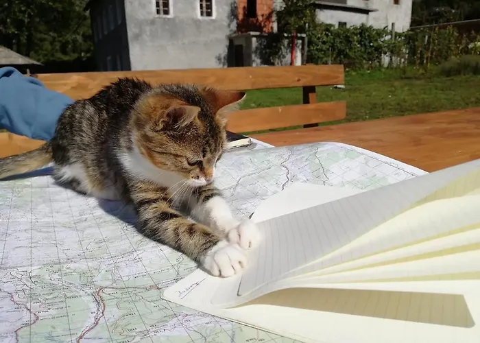Bujtina Leke Gerla * 세스